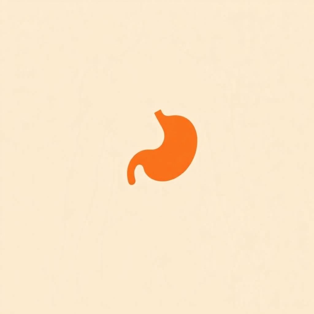 stomach